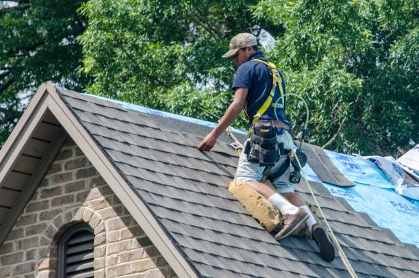 Best Roof Leak Repair  in USA